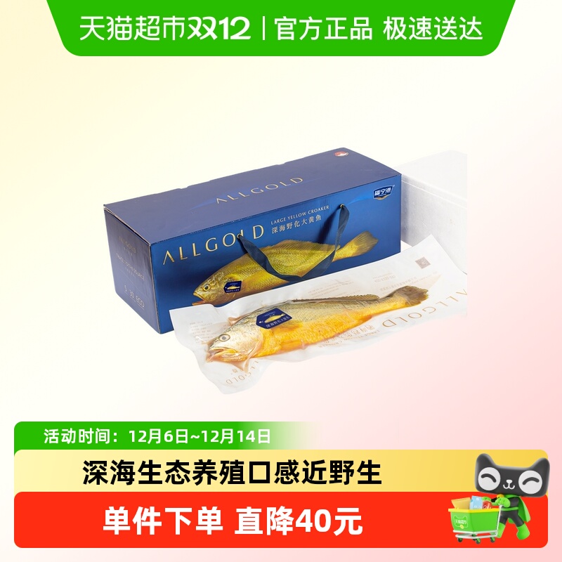 福宁港霞浦生态大黄鱼