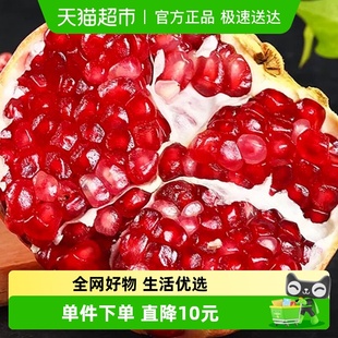 江昊阳正宗四川突尼斯软籽石榴当季 新鲜水果酸甜多汁