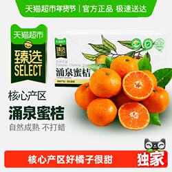 【臻选】临海涌泉蜜桔柑橘新鲜水果黄岩蜜桔子当季水果整箱