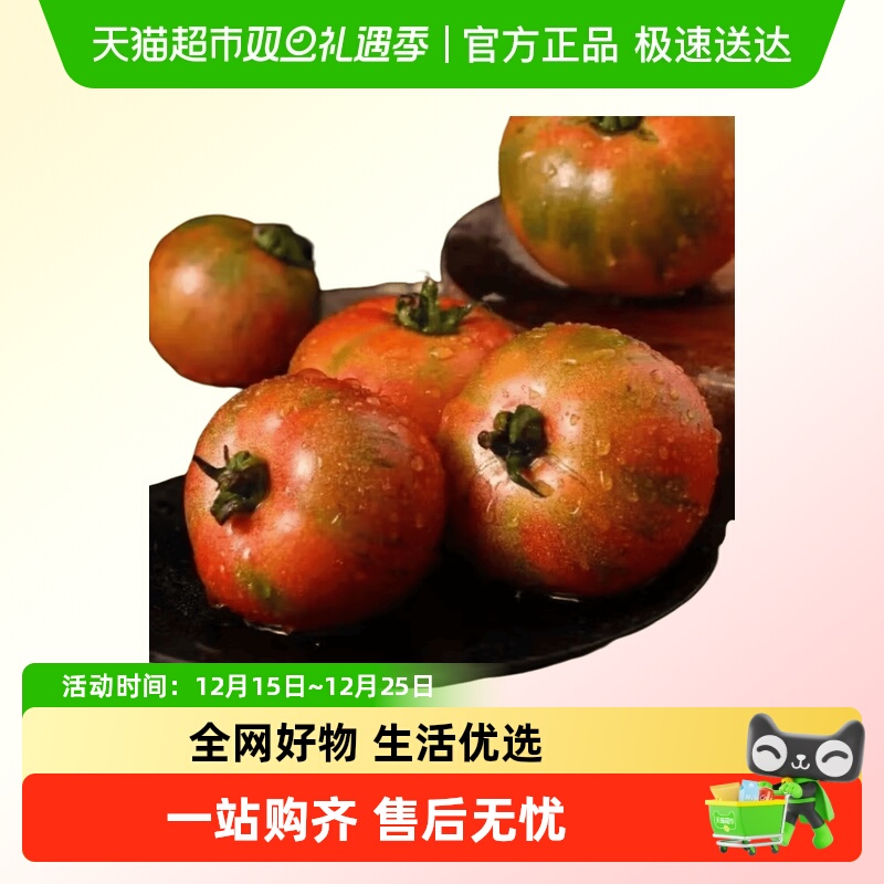 【所有女生直播间】丹东草莓柿子新鲜自然熟铁皮柿子盘锦碱地生吃