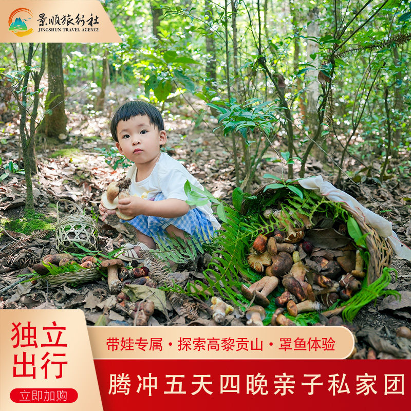腾冲亲子5天4晚游高黎贡山轻徒步捡菌非遗美食温泉亲子房古镇民宿 - 实物图