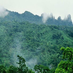 [七仙岭温泉国家森林公园-保亭七仙岭门票+徒手攀爬]七仙岭门票套票
