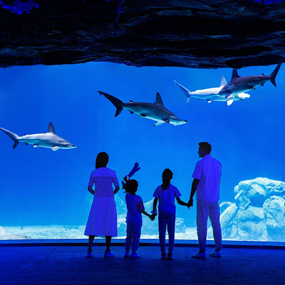 珠海长隆飞船乐园门票