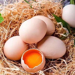 九华山土鸡蛋60枚正宗散养农家笨鸡蛋柴鸡蛋月子新鲜40枚限时秒杀