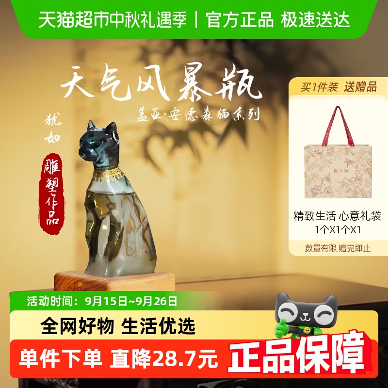 Ӣ籩ƿɭèװΰڼҾŮ