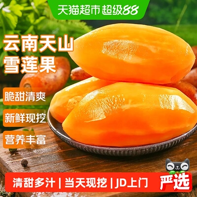 寻天果蔬云南天山黄心雪莲果