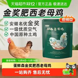 蛋鲜森金奖肥西老母鸡新鲜散养鲜活现杀土鸡煲汤正宗