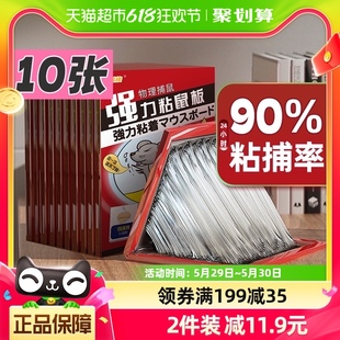 金大侠强力粘鼠板10张加大加厚家用大老鼠粘胶老鼠贴捕鼠神器