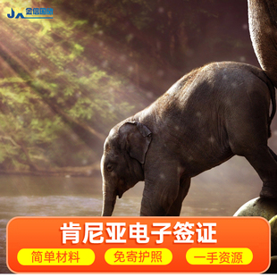 eta 肯尼亚·旅游签证·全国送签·肯尼亚签证 非洲签证不限地区Kenya 可加急当天出证 visa 落地电子旅游商务EAT登记抽证