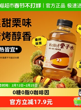 源制所板栗玄米水栗子水500ml*12瓶植物饮料整箱