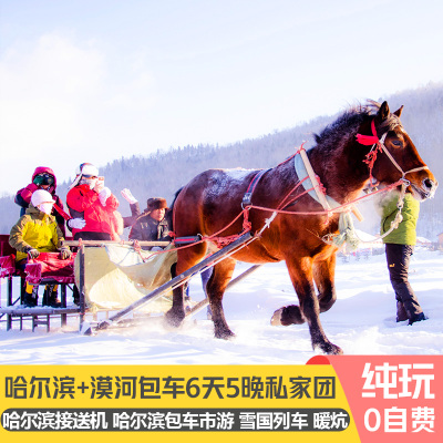 东北哈尔滨漠河旅游6天5晚私家小包团北极村白桦林圣诞村雪国列车