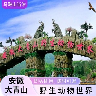 海狮表演 含动物观赏 大门票 大马戏 安徽大青山野生动物世界