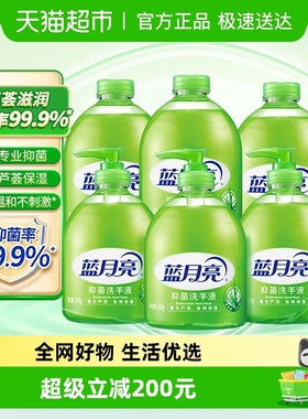蓝月亮芦荟抑菌洗手液套装3KG*10组家用瓶装温和不粘腻