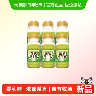 九峰牧场浓抹厚牛乳零乳糖抹茶牛奶低温冷藏奶浓郁茶香170ml*6瓶