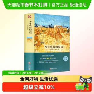 少年维特的烦恼世界文学名著小说两颗伤痕累累的心之前的化学反应