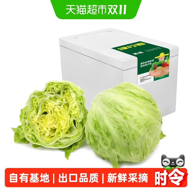 【绿行者】出口级球生菜新鲜汉堡用圆生菜蔬菜沙拉菜