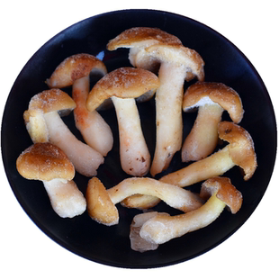 新鲜野生北风菌速冻冰鲜鸡足山冷菌云南大理土特产蘑菇包邮顺丰