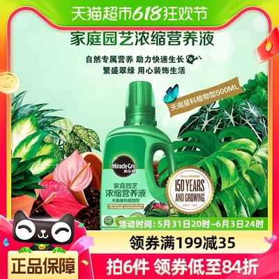 美乐棵植物天南星科营养液500ML