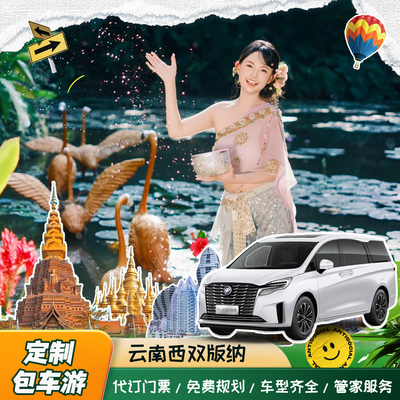 【定制包车游】西双版纳普洱全景点中科植物园野象谷景迈山望天树