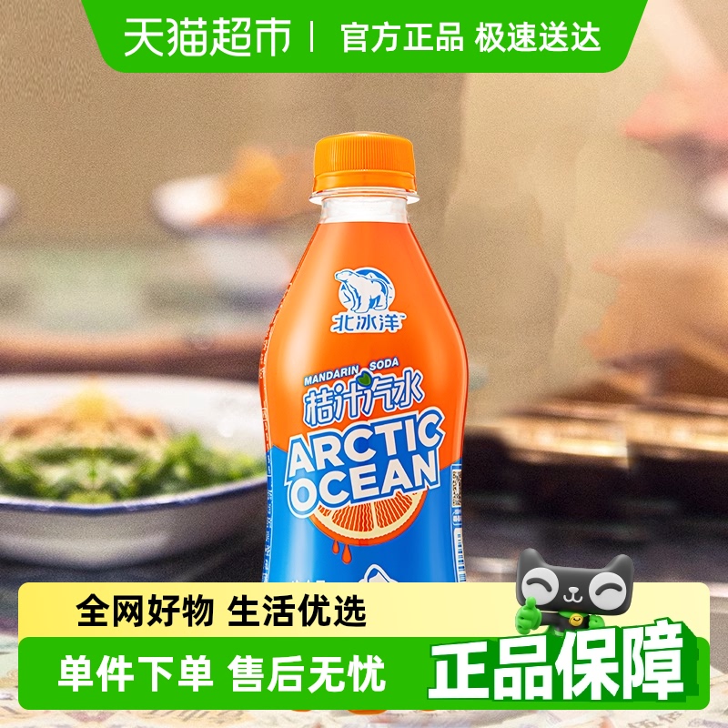 北冰洋果味汽水桔汁300ml×24瓶