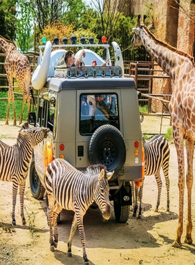 [银基国际旅游度假区-动物王国门票]银基国际旅游度假区 动物王国门票