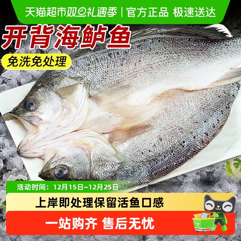 海仙部落海鲈鱼新鲜冷冻去内脏