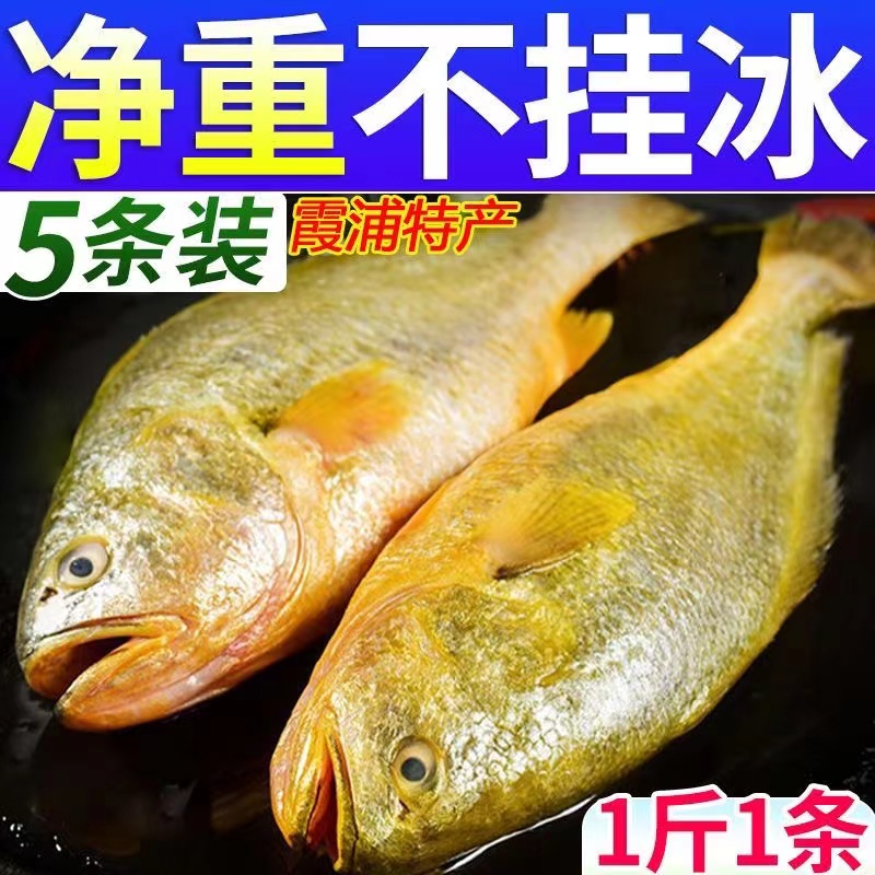 宁德鲜冻大黄鱼深海养殖黄花鱼东海海鱼冷冻水产鲜活速冻海鲜生鲜