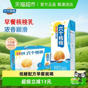 养元 20盒植物蛋白饮料口感细腻核桃清香 六个核桃早餐核桃乳250ml