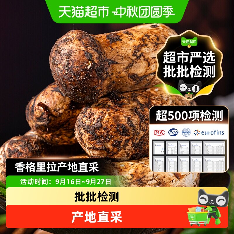 玲珑岭云南野生松茸特级甄选										
