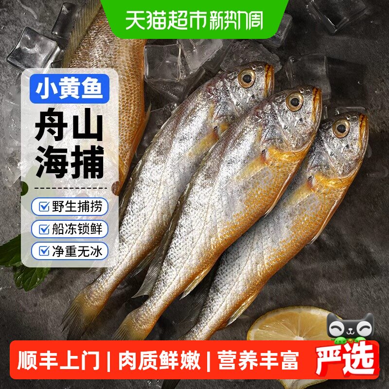 赫敏舟山小黄鱼深海捕捞冷冻水产袋装口感顺滑味道鲜美尾巴纤细