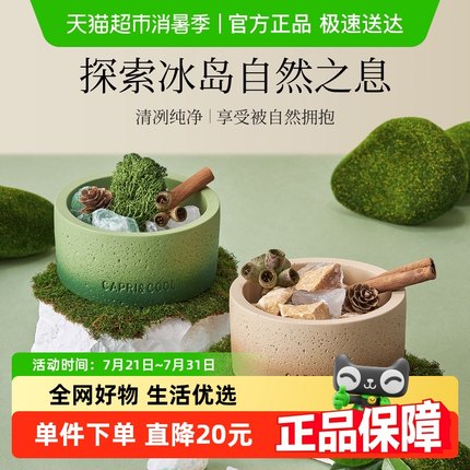 扩香石香薰摆件小众高级家用室内持久卧室香氛精油办公室桌面装饰