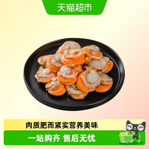 天海藏去壳扇贝肉个大肉厚