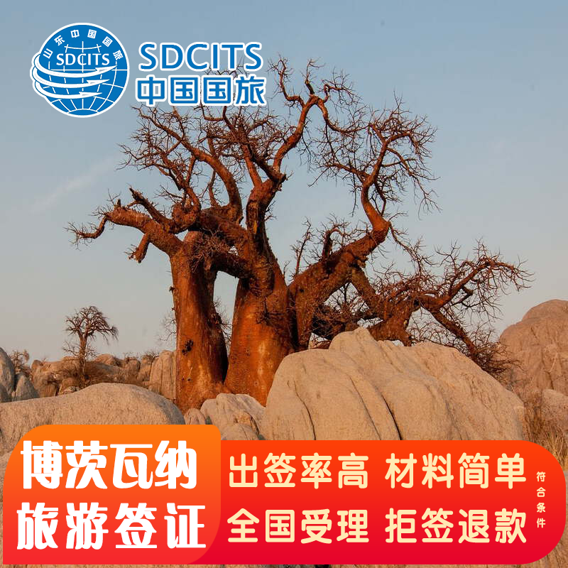 材料简单 全国送签 出签稳定