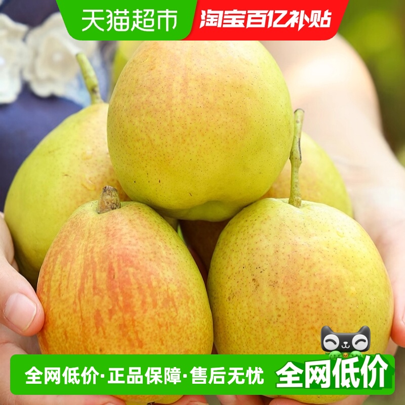 库尔勒香梨香梨全母梨