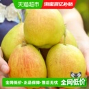 正宗新疆库尔勒香梨全母梨子新鲜孕妇水果整箱