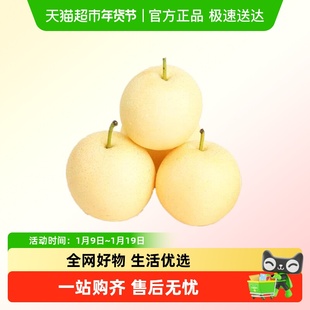 新鲜梨子河北皇冠梨水果雪梨鸭梨脆甜多汁可口