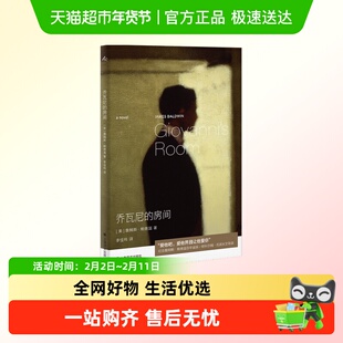 近乎快乐的故事 诺曼埃里克森小说青春文学乔瓦尼的房间夏日终曲