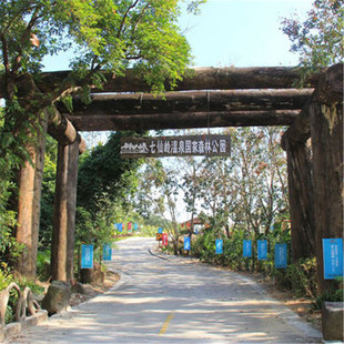 [七仙岭温泉国家森林公园-大门票+七彩云梯(全程) +登山能量包]七仙岭门票套票