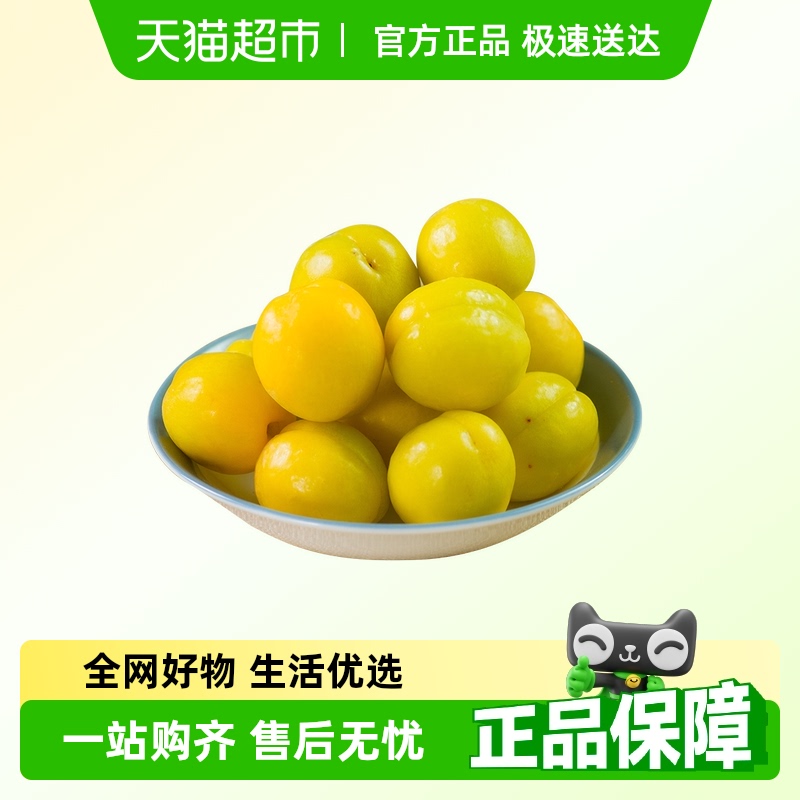 新疆小白杏新鲜水果库车轮台甜杏子应当季白杏子小红杏顺丰包邮