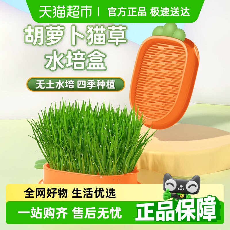 è��������������ˮ�໯ë��С��������������è������è��ʳ��Ʒ