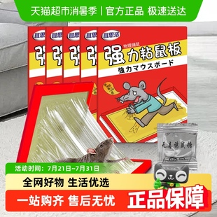 强力粘鼠板粘老鼠神器厨房粘鼠专用贴灭鼠家用老鼠夹一窝端