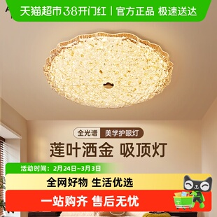 ARROW/箭牌卧室吸顶灯2026年新款中古风轻奢护眼创意莲叶房间灯具