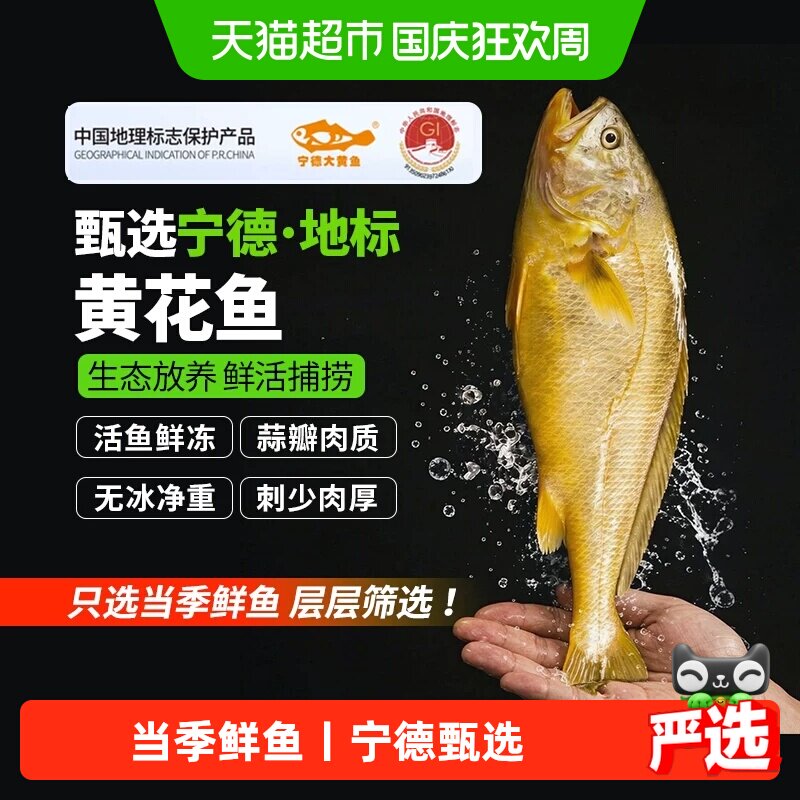 鱻谣宁德新冻大黄花鱼图片