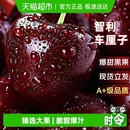 智利进口车厘子新鲜水果礼盒应当季 大樱桃345J整箱现货立发孕妇斤
