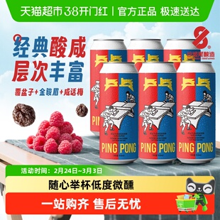 沙坡尾酿造 兵乓覆盆子金骏眉咸话梅 水果古斯 精酿啤酒