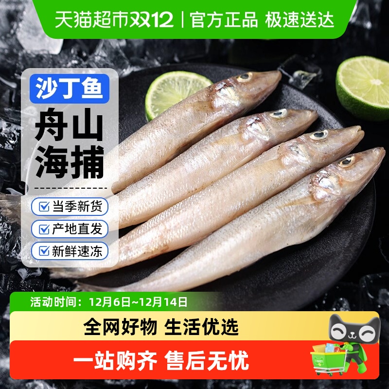 赫敏沙丁鱼新鲜冷冻