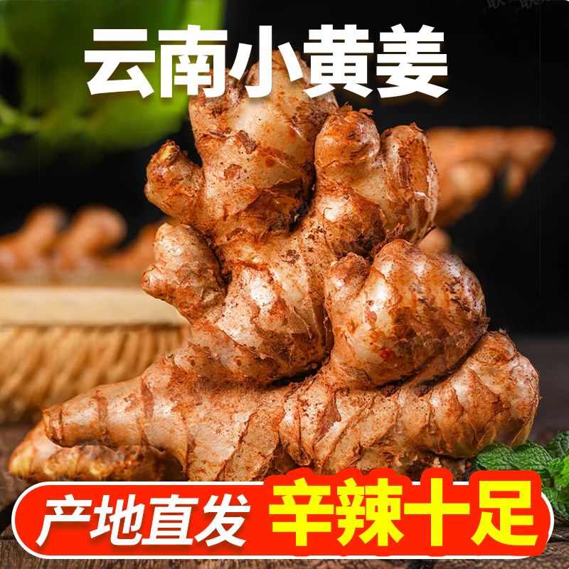 2025云南正宗小黄姜罗平新鲜生姜老姜现挖高山沙姜土姜种子蔬菜图片