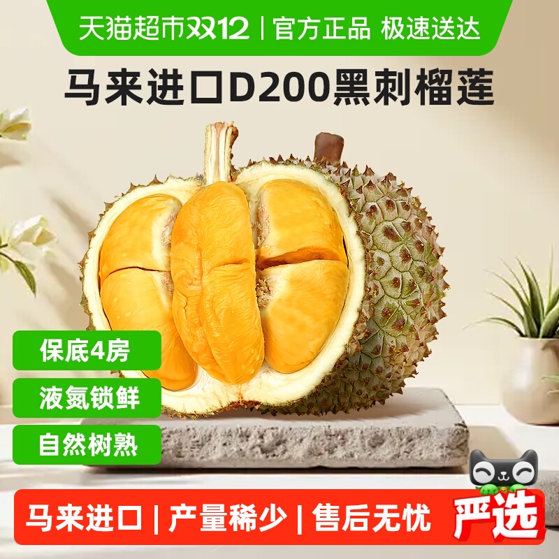 市舶士D200黑刺榴莲榴莲天花板