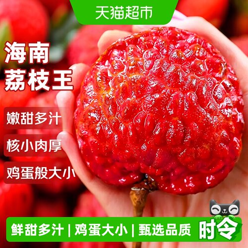 寻天果蔬海南荔枝王