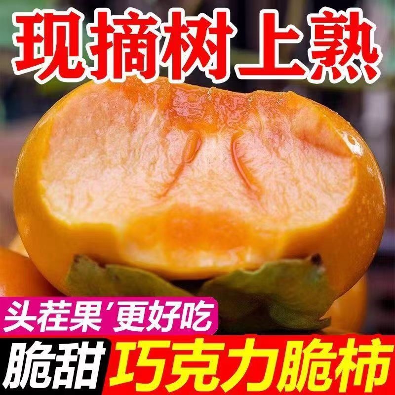 现摘脆柿，果肉脆嫩，甜润多汁，不涩口超解馋